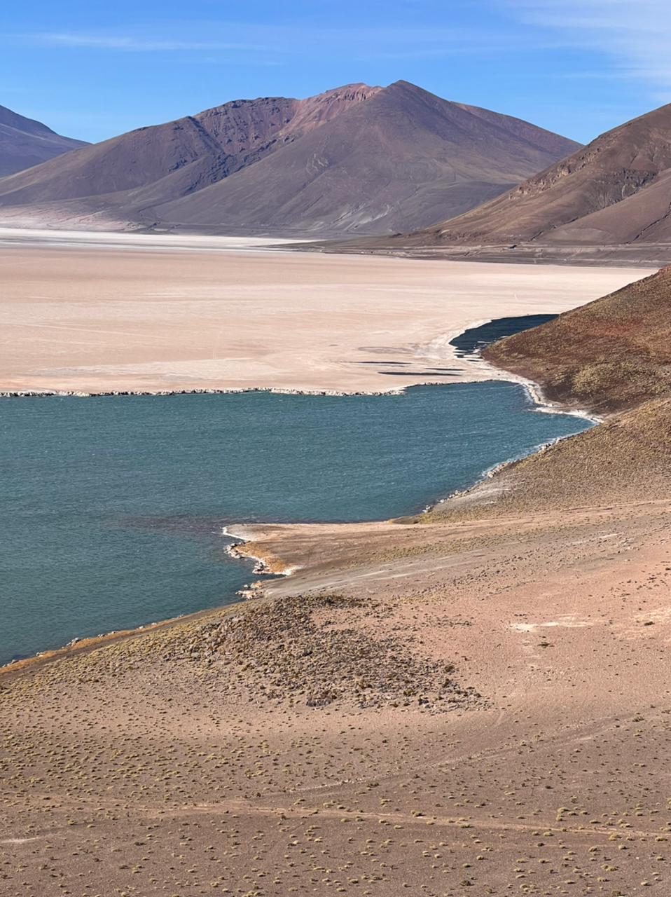 Laguna Verde dans le Salar de Carcote