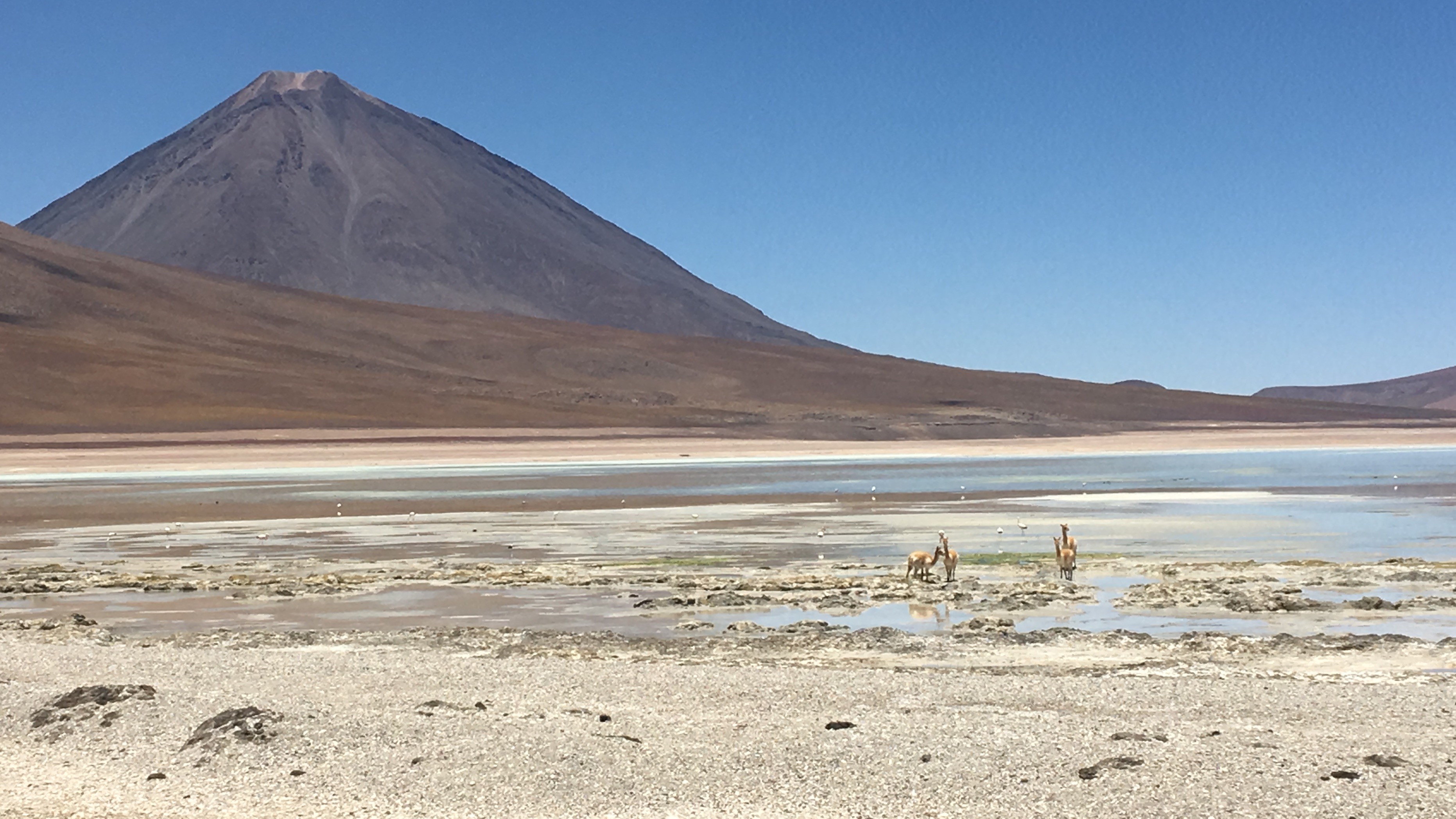 Laguna Blanca
