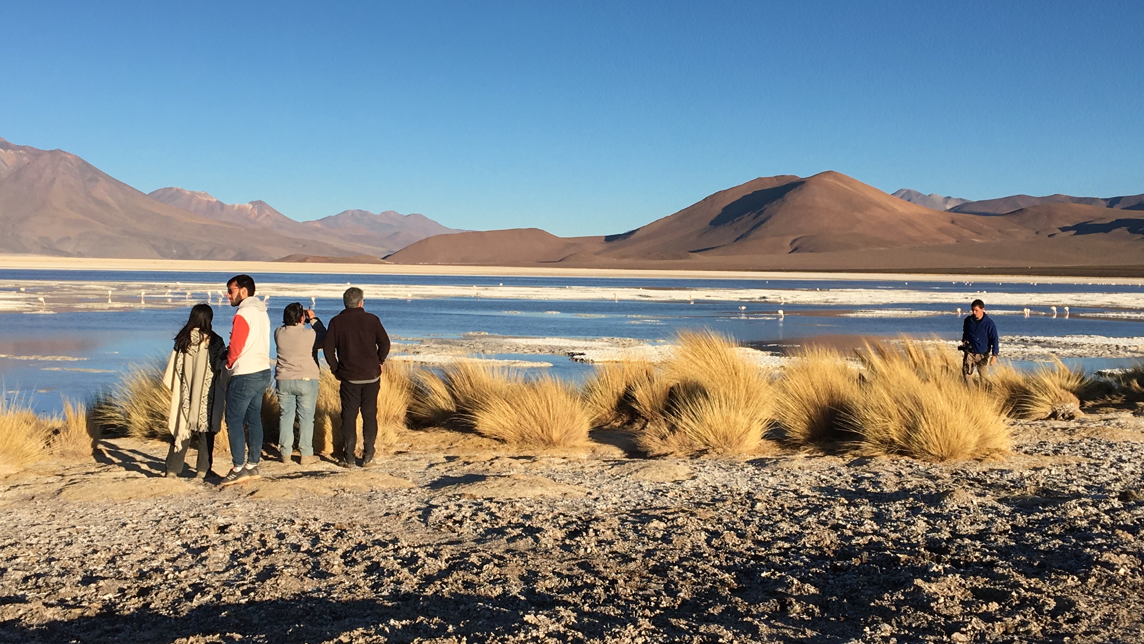 Salar de Ascotán