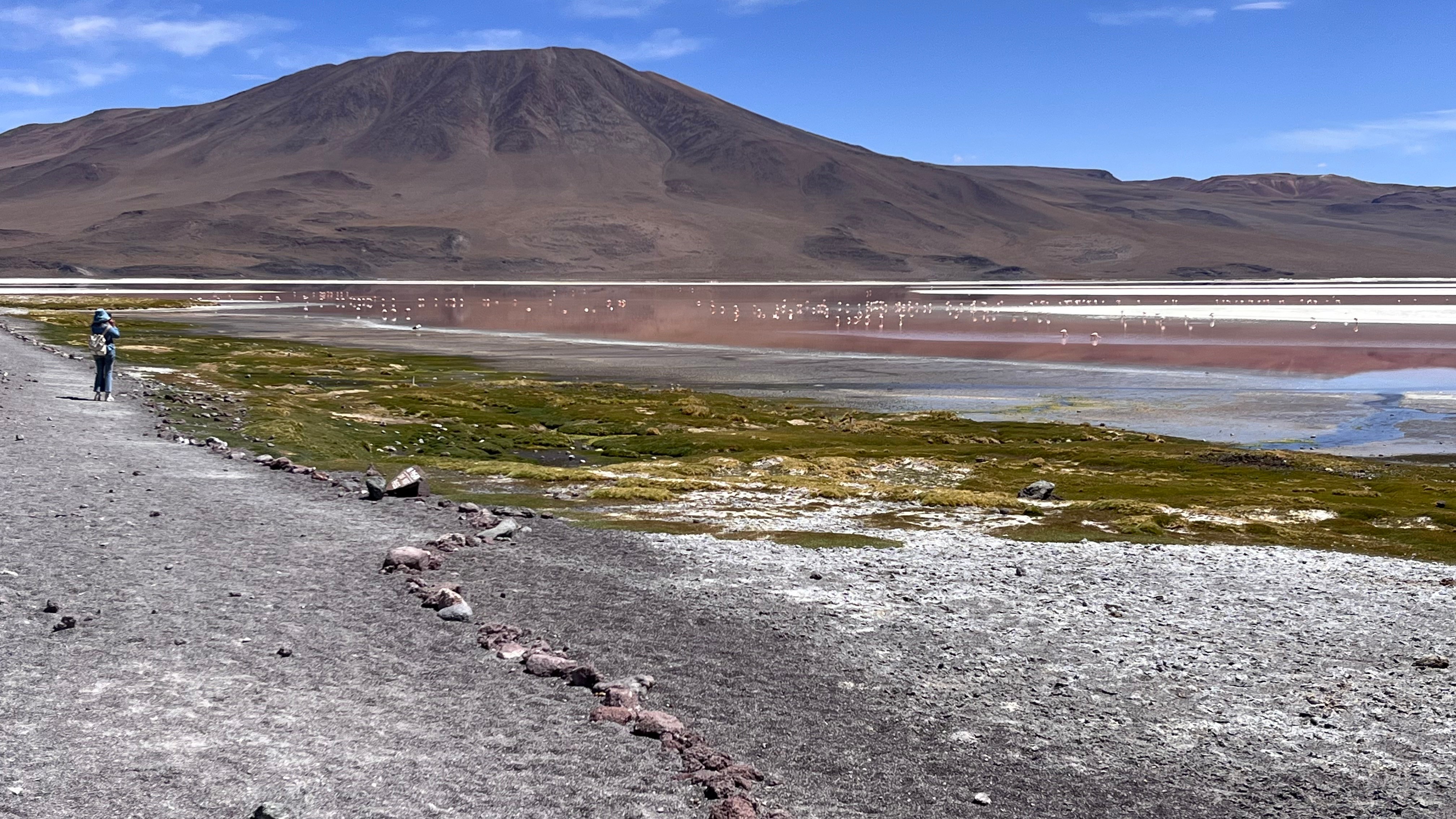 Laguna Colorada