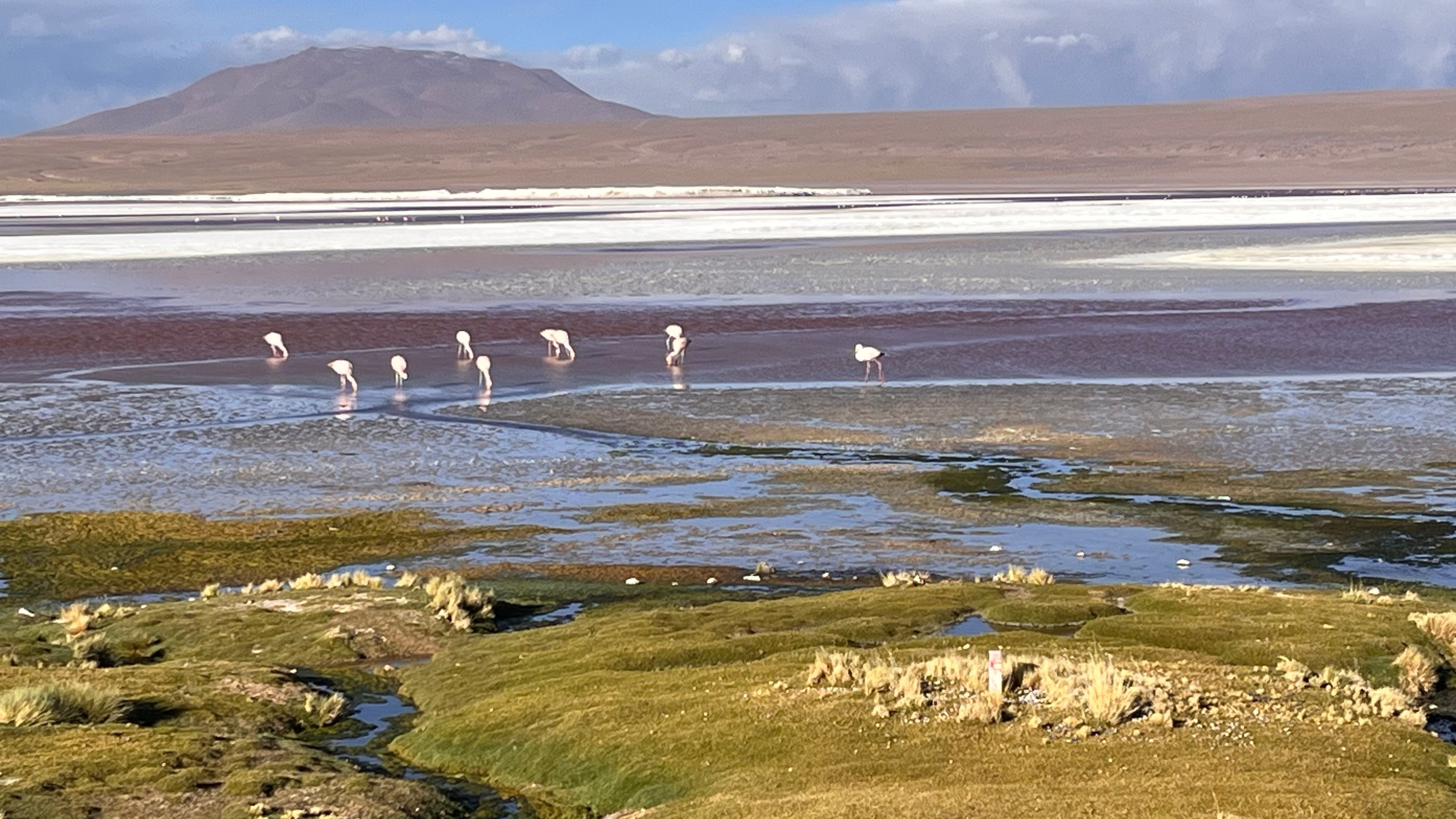 Colorada lagoon