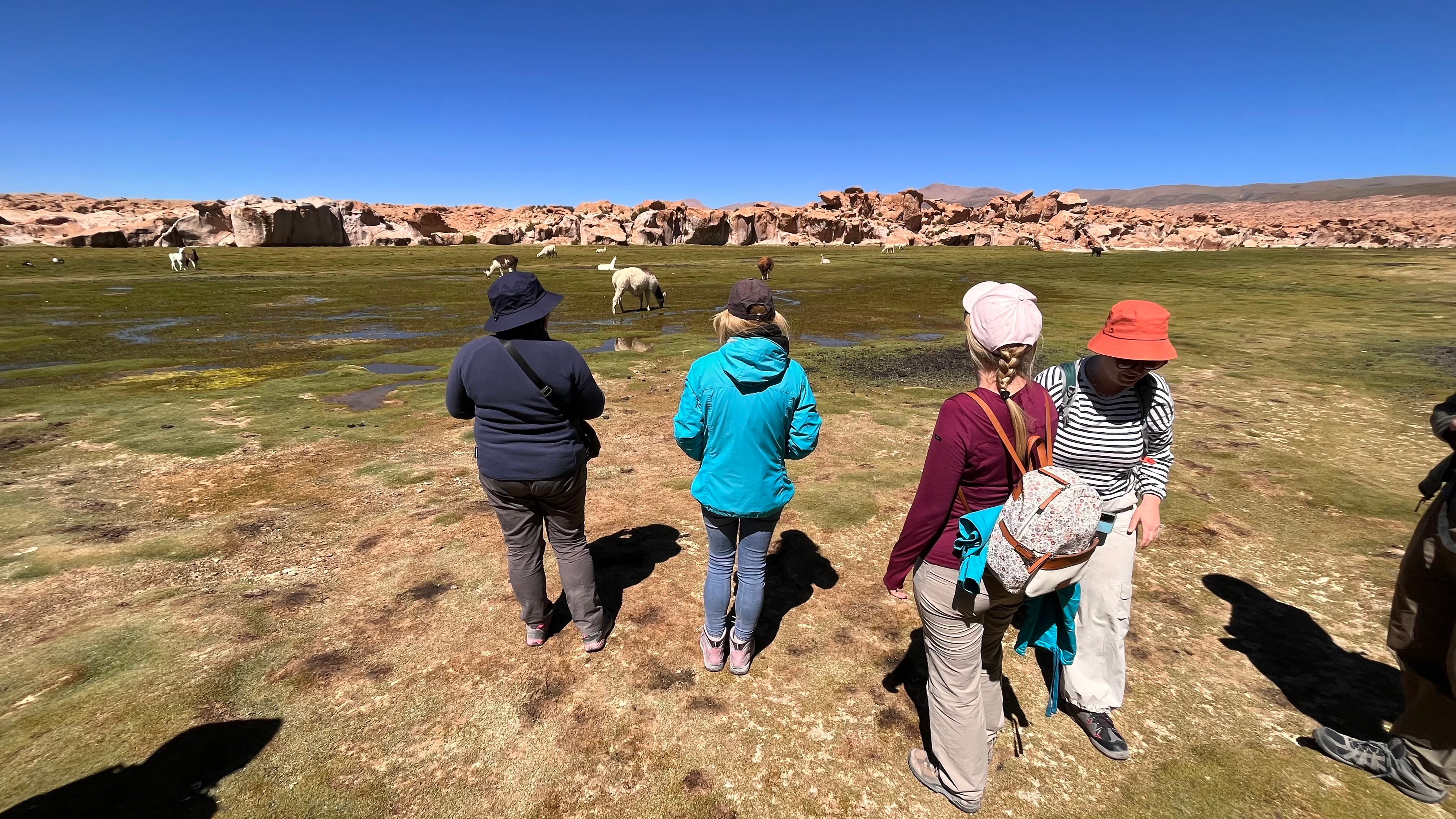 Hiking to Laguna Negra