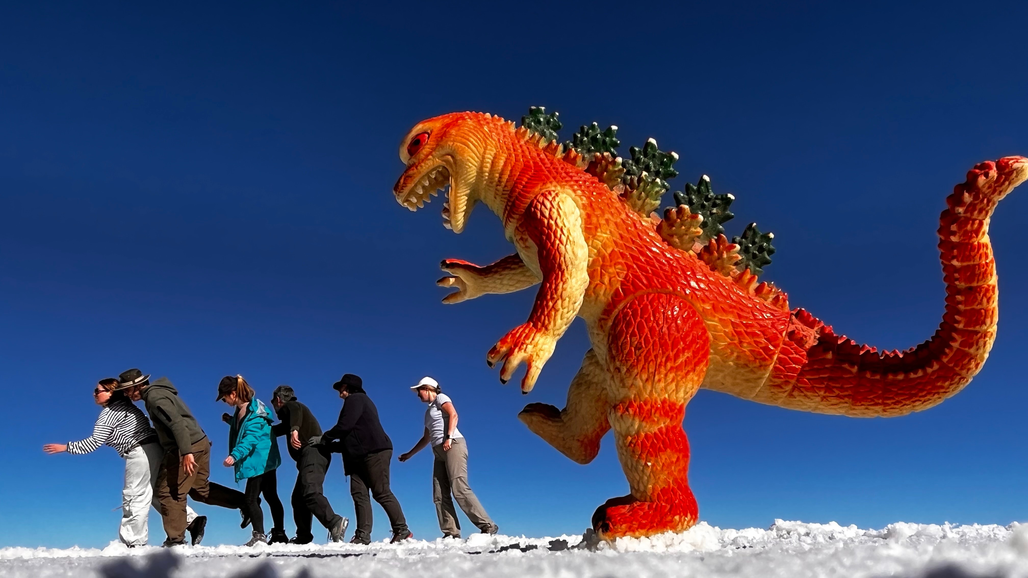 Playing with Dino