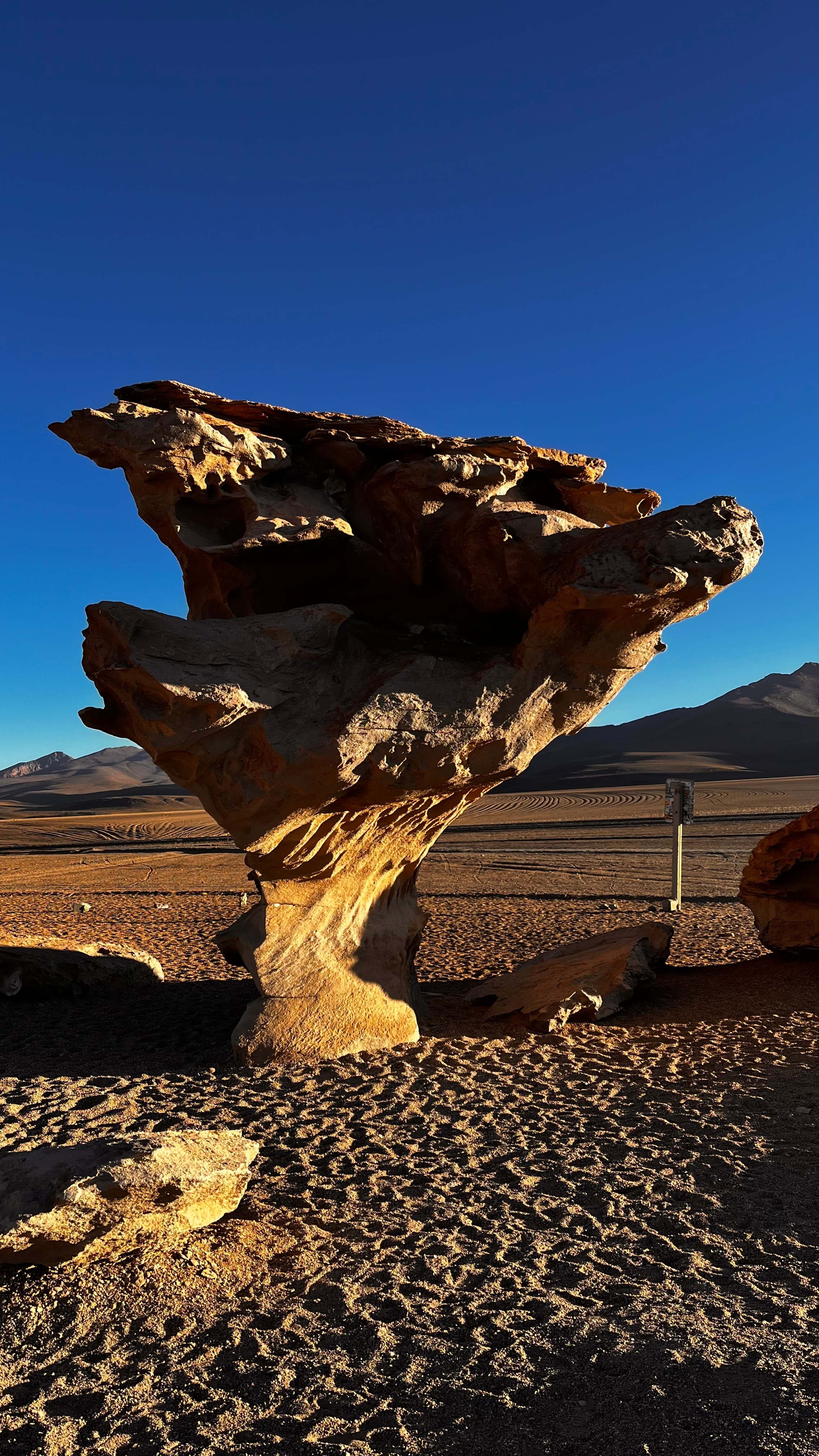 Stone tree