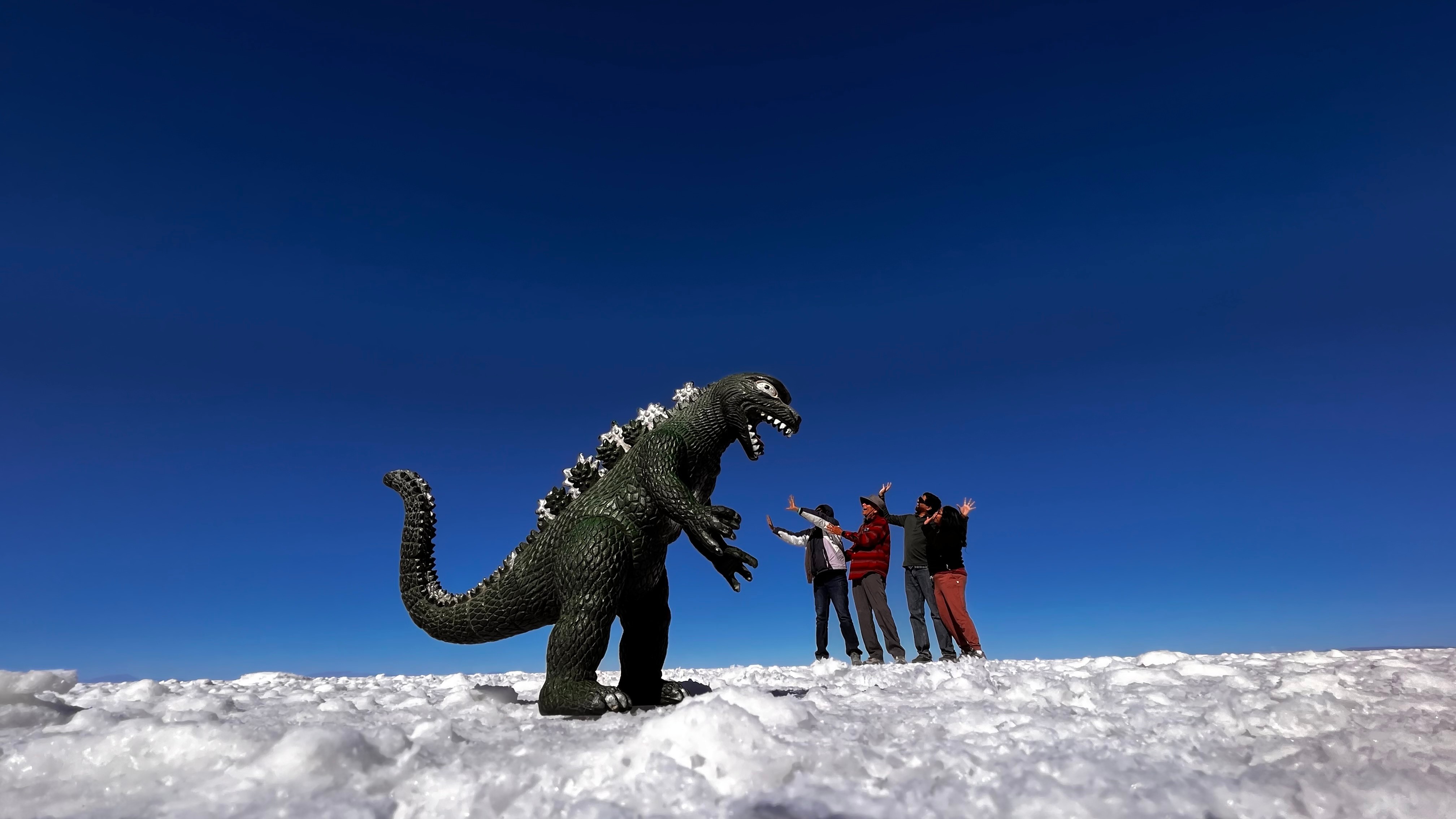 Playing with Dino