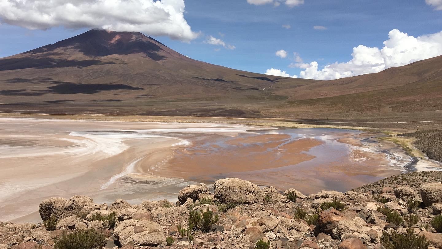 Salar de Carcote