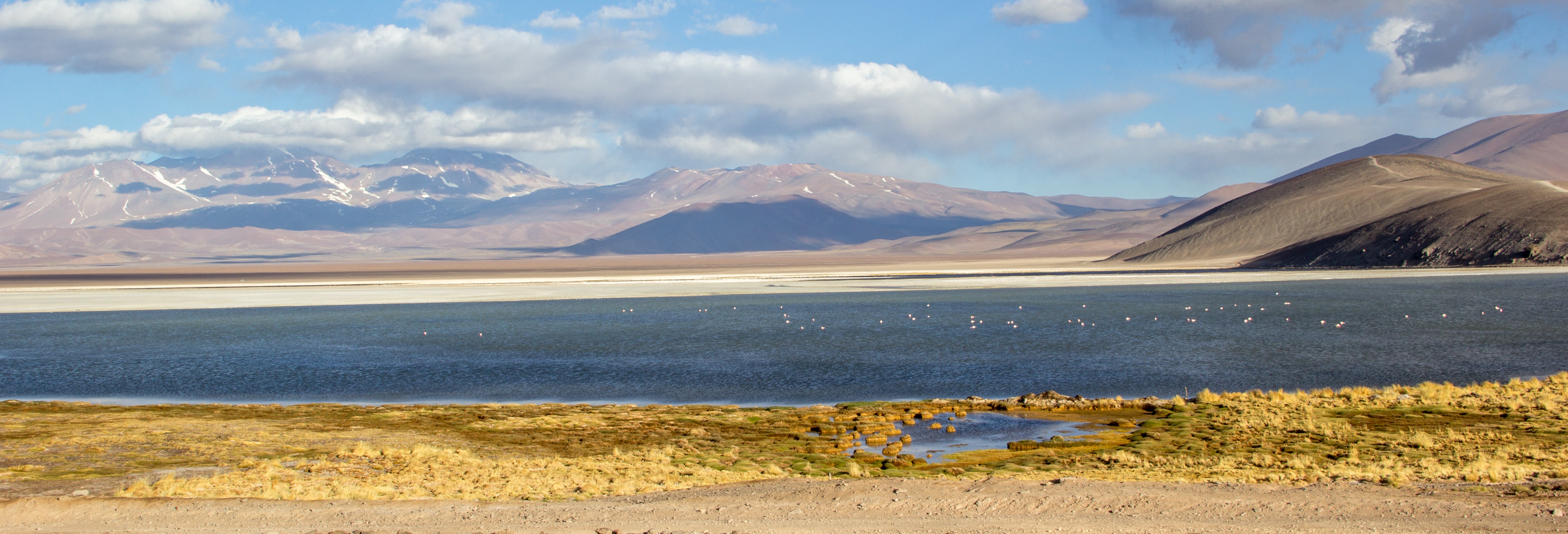 Laguna Santa Rosa