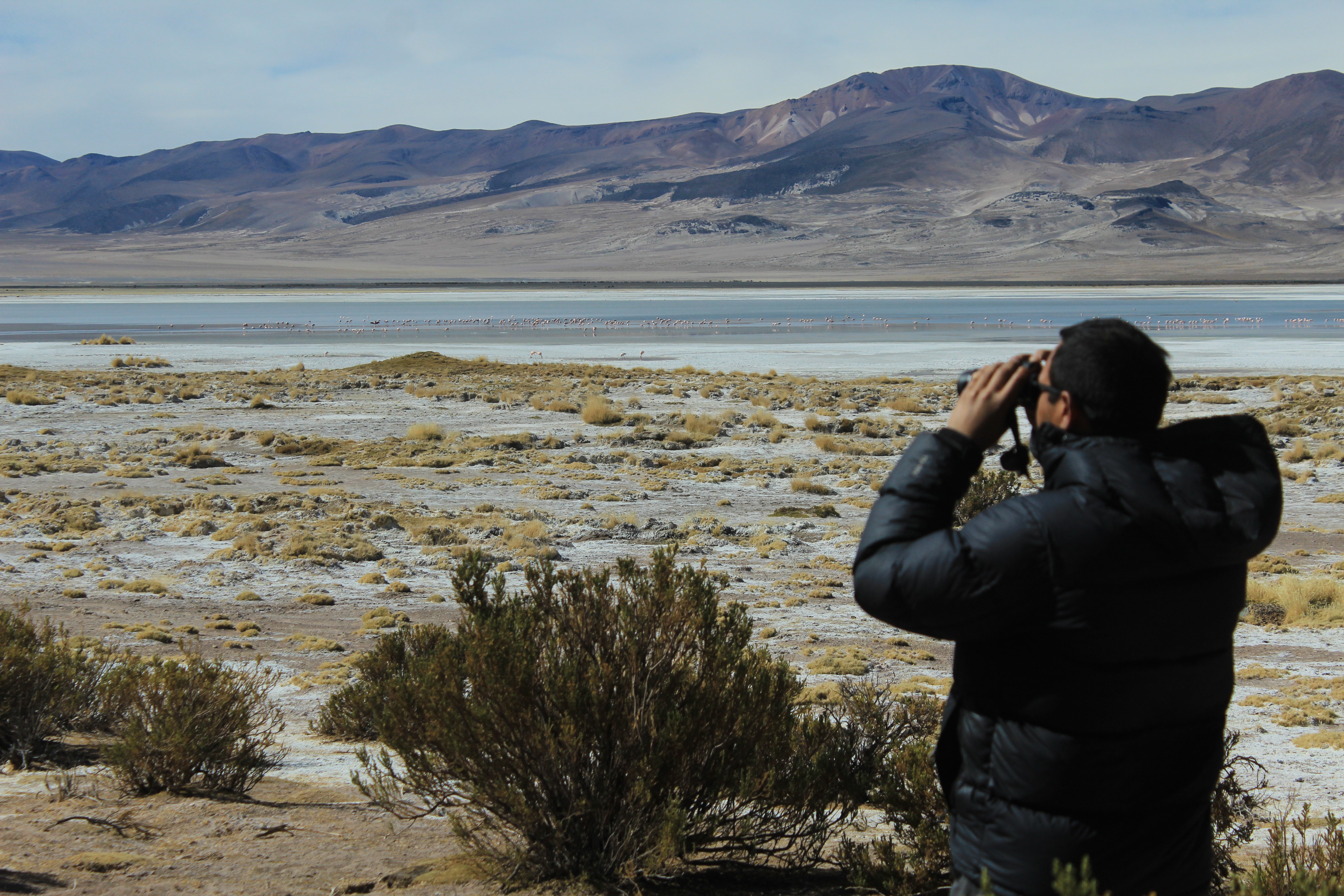 Salar de Huasco