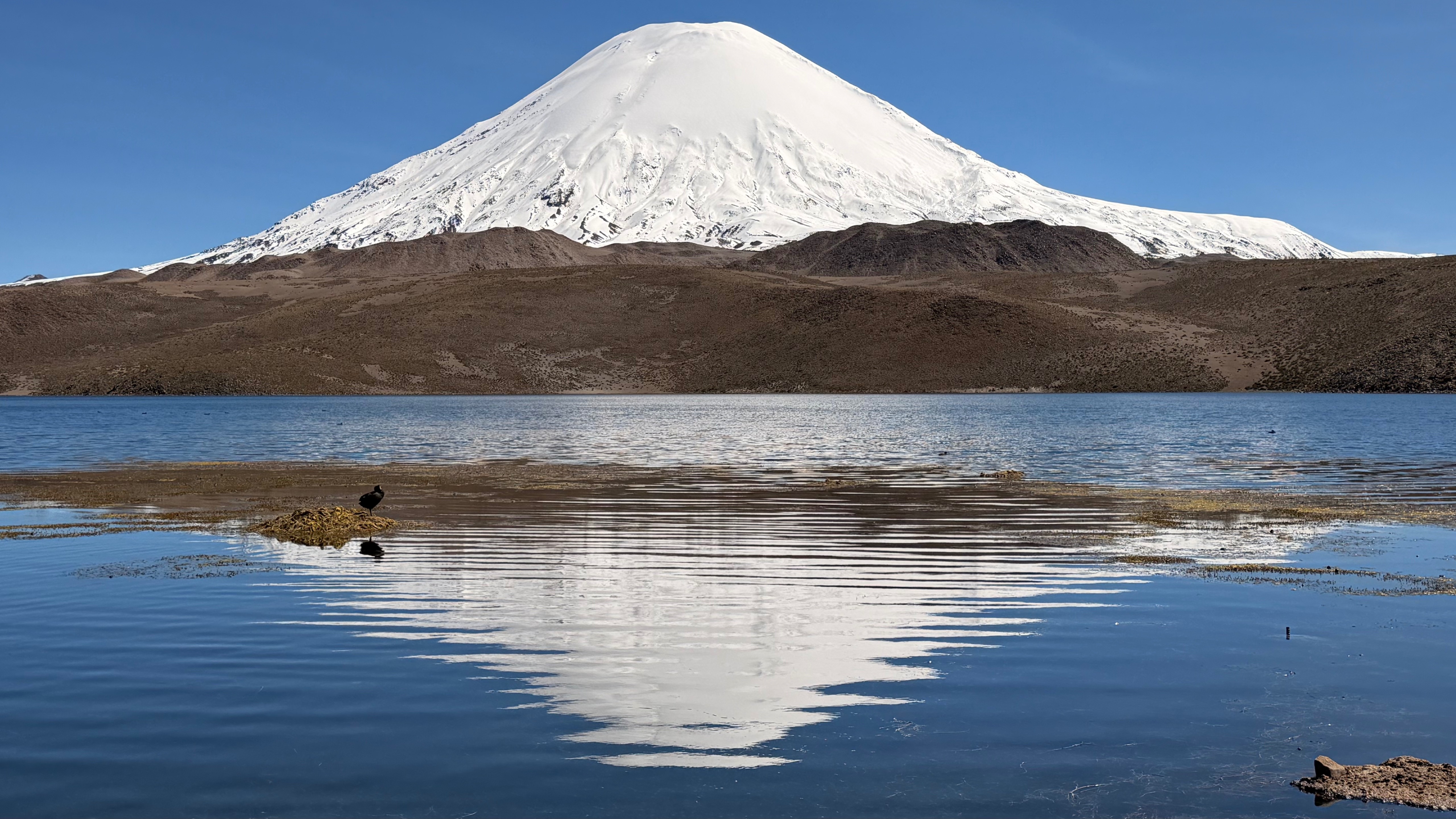Volcan Parinacota