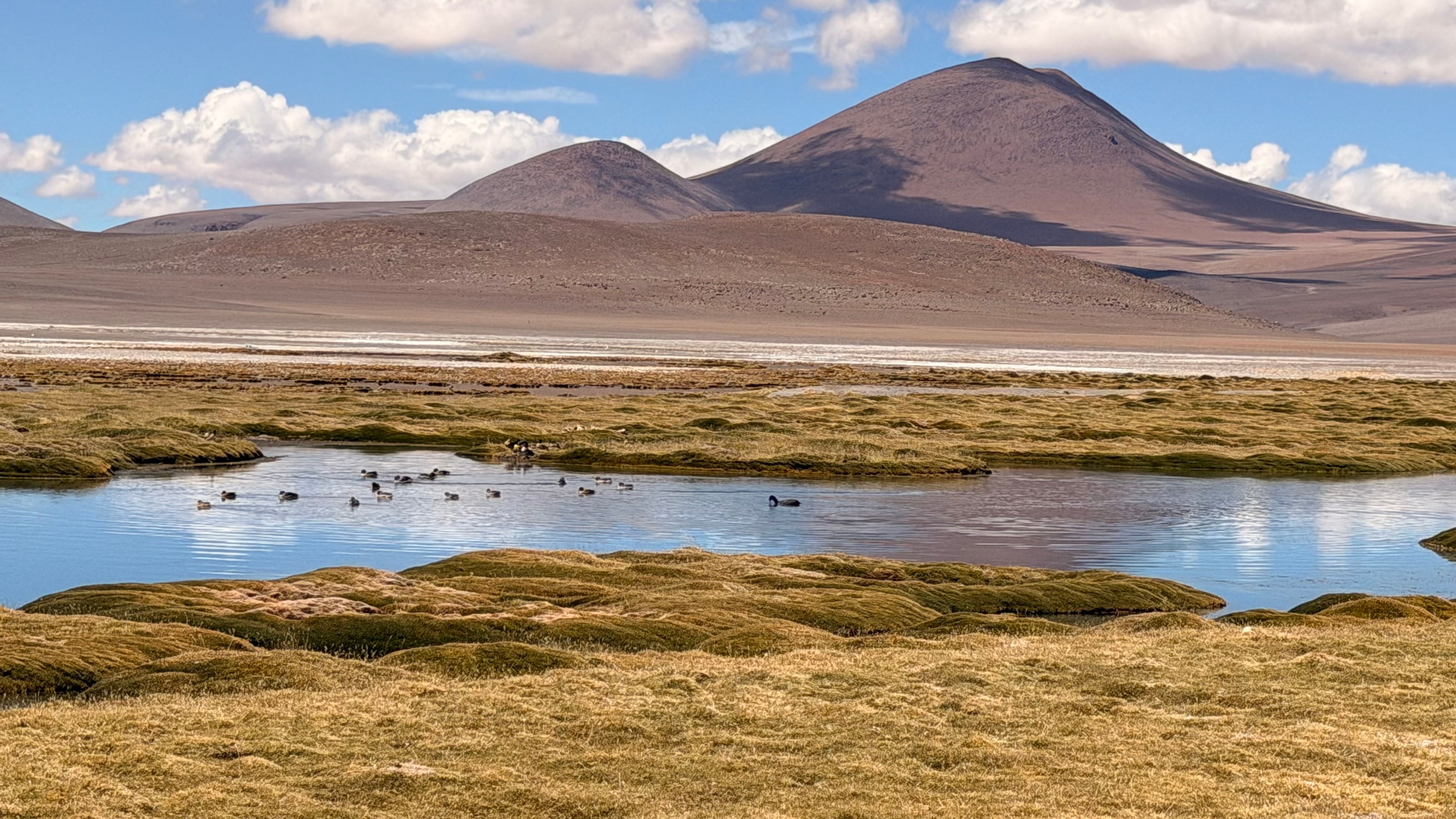 Pujsa Salt Flat
